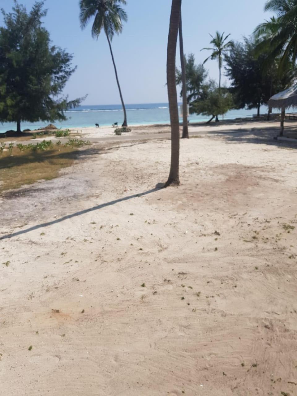 Flyzone Seashell Cottages Only For Indian Nationals With Valid Entry Permit Agatti Экстерьер фото